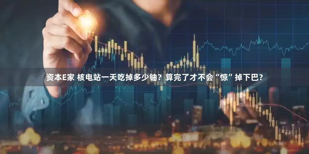 资本E家 核电站一天吃掉多少铀？算完了才不会“惊”掉下巴？